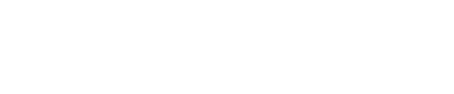 EVBox_logo_white