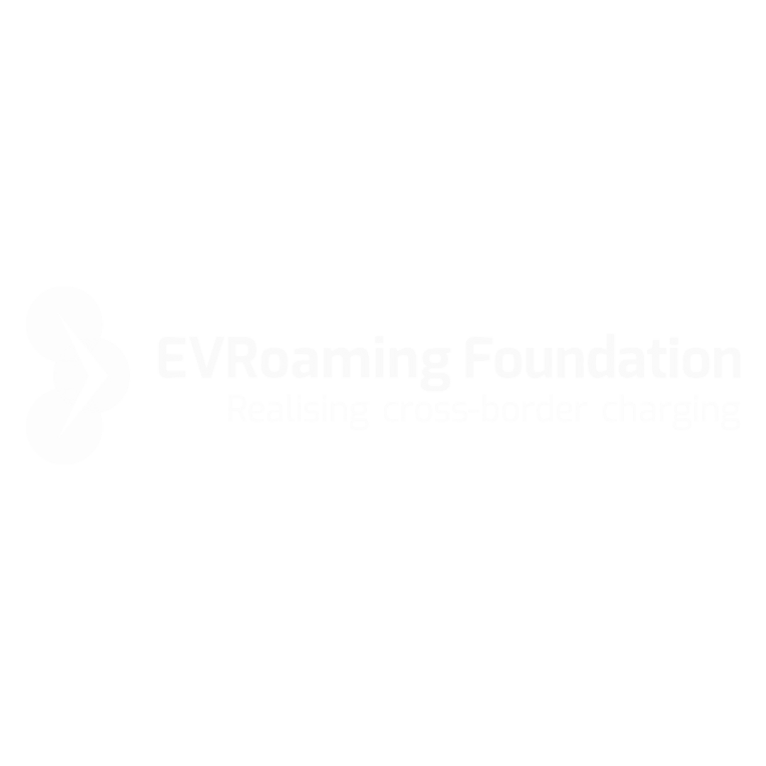 EVroaming foundation-1