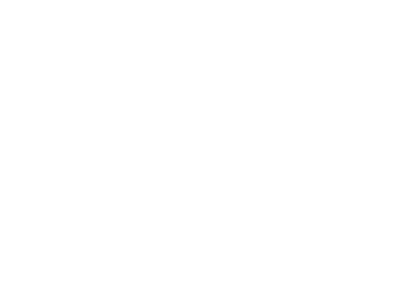 Hubject_Logo copy